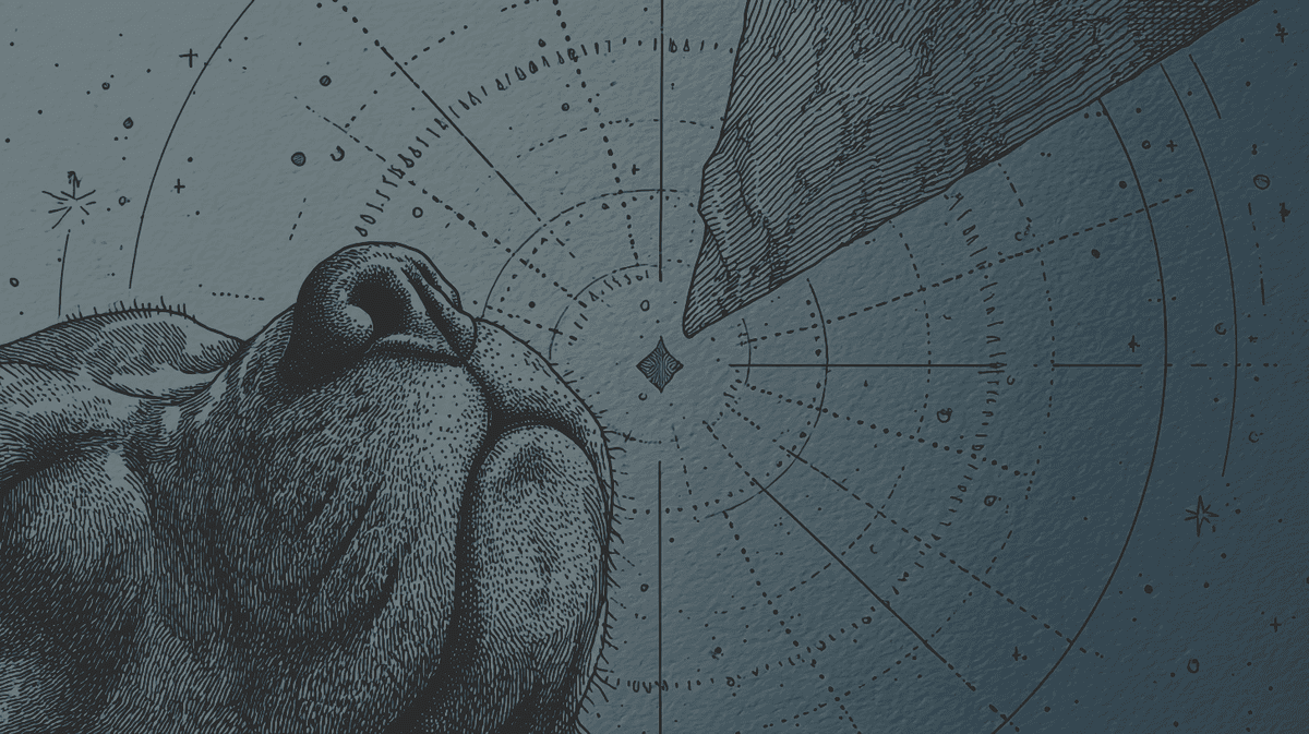 The Making of a Stylish Dog-Centered Lifestyle Media using Giselle